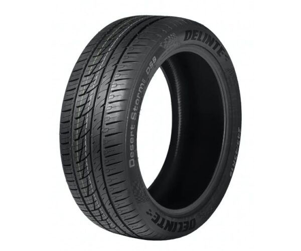 205/30 ZR20 82W XL DS8 DESERT STORM II DELINTE PNEU