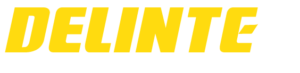 14 195 R14C 106104R DV2 8PR DELINTE