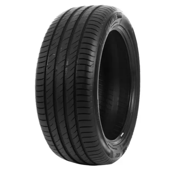 195/70 R14 91T DS2 DELINTE PNEU