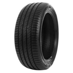 ARO 16 205 60R16 92V DS2 DELINTE