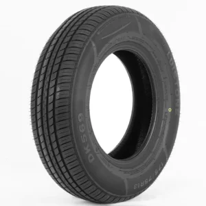 ARO17 205 45 R17 88V XL DS2 DELINTE