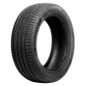 ARO16 195 55 R16 91V XL DS2 DELINTE1