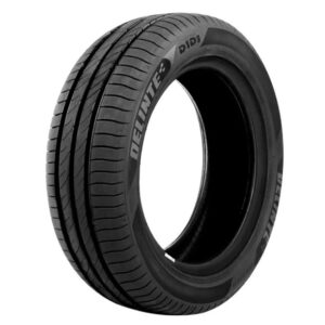 ARO16 205 50 ZR16 87W DS2 DELINTE2
