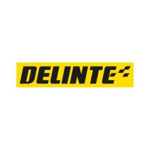 ARO 16 205 60R16 92V DS2 DELINTE