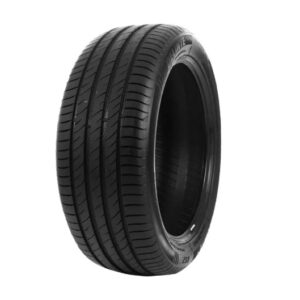 ARO16 205 65 R16 95V DS2 DELINTE