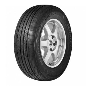 ARO16 235 60 R16 100H DS2 SUV DELINTE