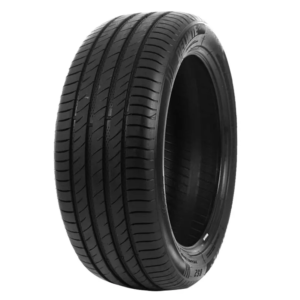 ARO17 195 40 ZR17 81W XL DS2 DELINTE