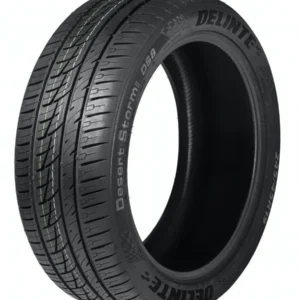 ARO 22 295 30 ZR22 110W XL DS8 DESERT STORM II DELINTE