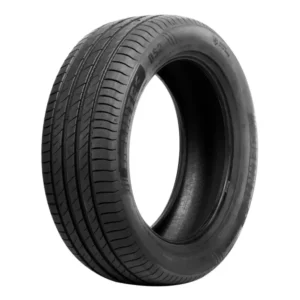 ARO17 215 65 R17 99V DS2 SUV DELINTE