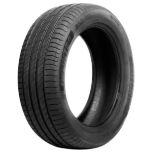 ARO17 225 55 ZR17 101W XL DS2 DELINTE