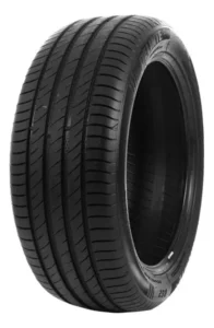 ARO 19 225 45 ZR19 96W XL DS2  DELINTE