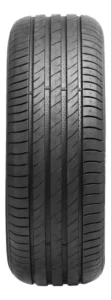 ARO19 235 45 ZR19 95W XL DS2 DELINTE