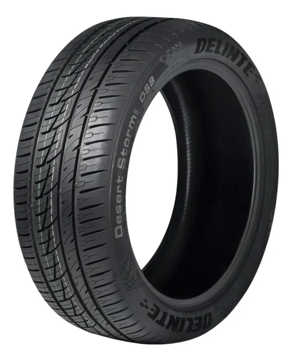 ARO19 255 55 ZR19 111W XL DS8 DESERT STORM II DELINTE